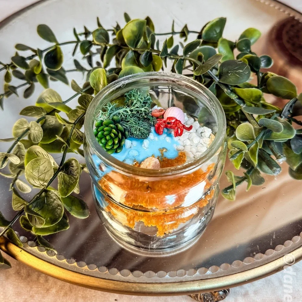 Mini Crab Terrarium